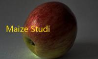 Maize Studio(玉米现场音频平台) 1.21 官方版